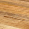 vidaXL - Eettafel - Ø110x78 - cm - massief - mangohout - en - staal