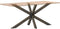 vidaXL - Eettafelpoot - spider - vorm - 150x78x(72-73) - cm - staal - naturel