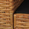 vidaXL Fauteuil met kussens natuurlijk rattan bruin