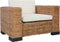 vidaXL Fauteuil met kussens natuurlijk rattan