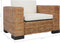 vidaXL Fauteuil met kussens natuurlijk rattan