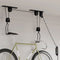 vidaXL - Fietstakels - met - plafondbevestiging - 2 - st - 20 - kg