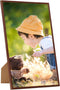 vidaXL - Fotolijsten - 3 - st - voor - tafel - 13x18cm - MDF - bronskleurig