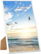 vidaXL - Fotolijsten - 5 - st - voor - tafel - 21x29,7 - cm - MDF - wit