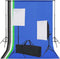 vidaXL - Fotostudio - set - met - 5 - gekleurde - achtergronden - & - 2 - softboxen