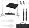 vidaXL - Fotostudioset - met - verlichtingsset - en - achtergrond