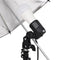 vidaXL - Fotostudioset - met - verlichtingsset - en - achtergrond