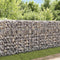 vidaXL - Gabion - mand - 450x30x100 - cm - gegalvaniseerd - staal