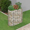 vidaXL - Gabion - plantenbak - verhoogd - 120x50x100 - cm - gegalvaniseerd - ijzer