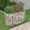 vidaXL - Gabion - plantenbak - verhoogd - 120x50x50 - cm - gegalvaniseerd - ijzer