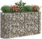 vidaXL - Gabion - plantenbak - verhoogd - 190x50x100 - cm - gegalvaniseerd - ijzer