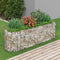 vidaXL - Gabion - plantenbak - verhoogd - 190x50x50 - cm - gegalvaniseerd - ijzer