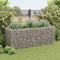 vidaXL - Gabion - plantenbak - verhoogd - 270x90x100 - cm - staal