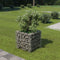 vidaXL - Gabion - plantenbak - verhoogd - 50x50x50 - cm - gegalvaniseerd - staal