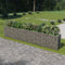 vidaXL - Gabion - plantenbak - verhoogd - 540x50x100 - cm - gegalvaniseerd - staal