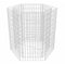 vidaXL - Gabion - plantenbak - verhoogd - zeshoekig - 100x90x100 - cm
