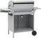 vidaXL Gasbarbecue 4+1 kookzone roestvrij staal zilverkleurig