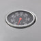 vidaXL Gasbarbecue 4+1 kookzone zilver
