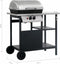 vidaXL Gasbarbecue met 3-laags zijtafel zwart en zilverkleurig