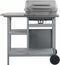 vidaXL Gasbarbecue met 3-laags zijtafel zwart en zilverkleurig