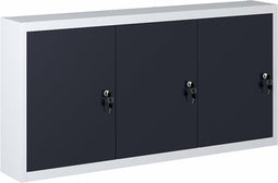 vidaXL - Gereedschapskast - voor - aan - de - wand - metaal - grijs - en - zwart