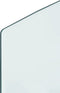 vidaXL - Glasplaat - openhaard - 120x50 - cm