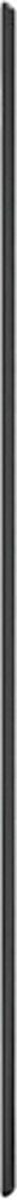 vidaXL - Glasplaat - openhaard - rechthoekig - 120x60 - cm
