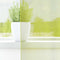 vidaXL - Gordijnen - voile - met - lipje - Top - 2 - st - Appelgroen