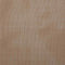 vidaXL - Gordijnen - voile - met - lussen - 2 - st - 140x260 - cm - lichtbruin