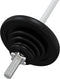 vidaXL - Halter - met - gewichten - 30 - kg - gietijzer