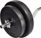 vidaXL - Halter - met - gewichten - 30 - kg