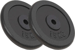vidaXL - Halterschijven - 2 - st - 2x15 - kg - gietijzer