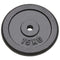 vidaXL - Halterschijven - 2 - st - 2x15 - kg - gietijzer