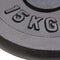 vidaXL - Halterschijven - 2 - st - 2x15 - kg - gietijzer