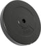 vidaXL - Halterschijven - 2 - stuks - 30 - kg - beton