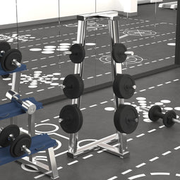 vidaXL - Halterschijven - 6 - st - 30 - kg - gietijzer