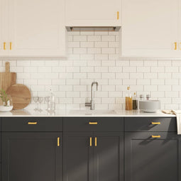 vidaXL - Handvatten - 10 - st - 64 - mm - roestvrij - staal - goudkleurig