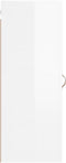 vidaXL - Hangkast - 34,5x34x90 - cm - hoogglans - wit