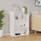 vidaXL - Hangkast - 69,5x32,5x90 - cm - wit