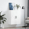 vidaXL - Hangkast - 69,5x34x90 - cm - wit