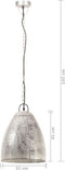 vidaXL Hanglamp industrieel rond 25 W E27 32 cm zilverkleurig
