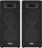 vidaXL Hifi-podiumluidsprekers 2 st passief professioneel 1000 W zwart
