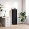 vidaXL - Highboard - 29,5x34x119,5 - cm - spaanplaat - zwart - eikenkleurig