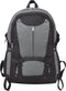 vidaXL - Hiking - rugzak - 40 - L - zwart - en - grijs