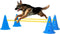 vidaXL - Hindernissenset - voor - honden - blauw - en - geel