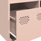 vidaXL - Hoge - kast - 101,5x39x103,5 - cm - staal - roze