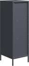 vidaXL - Hoge - kast - 35x39x103,5 - cm - staal - antracietkleurig