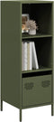 vidaXL - Hoge - kast - 35x39x103,5 - cm - staal - olijfgroen