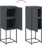vidaXL - Hoge - kast - 36x39x107 - cm - staal - antracietkleurig