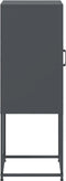 vidaXL - Hoge - kast - 36x39x107 - cm - staal - antracietkleurig